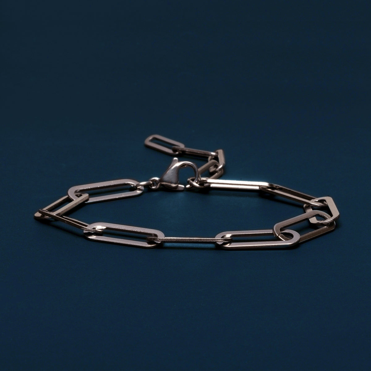 Waterproof Stainless Steel Spine Chain Bracelet — WE ARE ALL SMITH